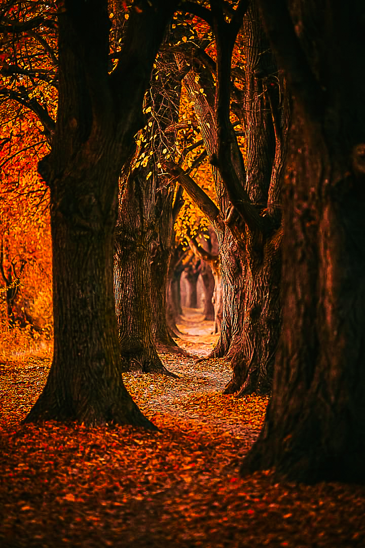 Jeseň, čas Dušičiek 