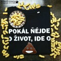 Tričko Hovno (pískacé)