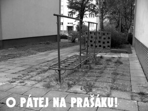 Puberta Trogárov